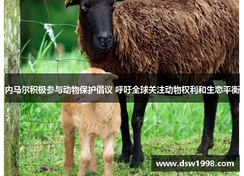 内马尔积极参与动物保护倡议 呼吁全球关注动物权利和生态平衡