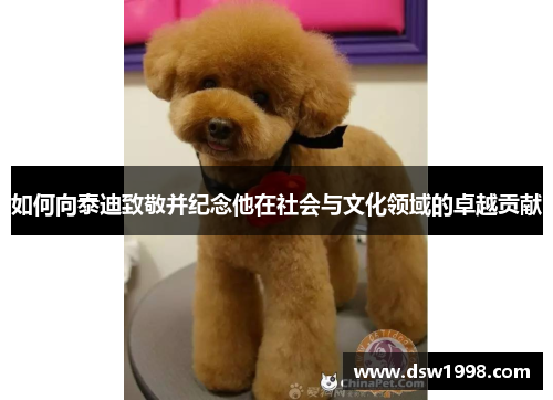 如何向泰迪致敬并纪念他在社会与文化领域的卓越贡献