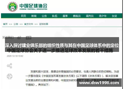 深入探讨建业俱乐部的组织性质与其在中国足球体系中的定位